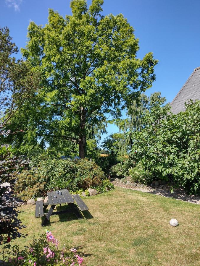 Bed and Breakfast Den Gamle Apotekergaard Hong Exterior foto